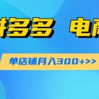 拼多多 电商掘金