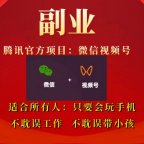 视频号高阶变现项目